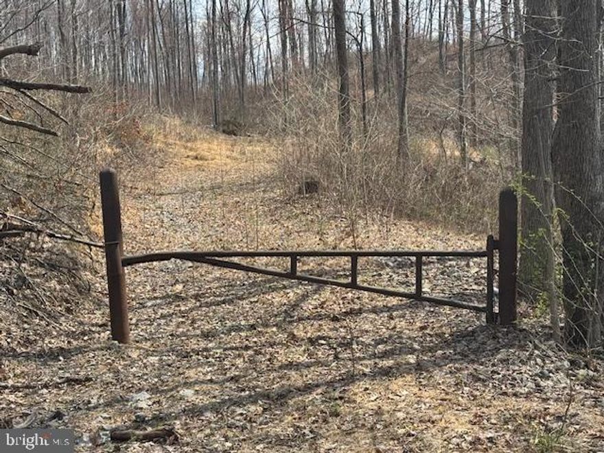 Options Abound:  If you're looking for the perfectly located property on the outskirts of Philippi WV, this one is for you.  Build your dream home on this gem's multiple building spots or sub-divide for your next housing development project.  This tract also offers the option of implementing your next business expansion as it has an optimal 700 feet of road frontage to RT. 250.  
Lying much larger than your average 34.7 acres, you will realize quickly that whatever it is that you envision, this tract has you covered. 
Oh, and the amount of wildlife that calls this tract home, will surprise you. 
These ones don't come around very often, So come on out and see the many options that this Barbour County piece of Heaven has to offer.  Located 1/2 hour from Bridgeport, 1 hour from Morgantown, 1 hour from Canaan Valley Ski Resort, 1 hour from Stonewall Resort, and 1.5 hours from Snowshoe Mountain Resort.