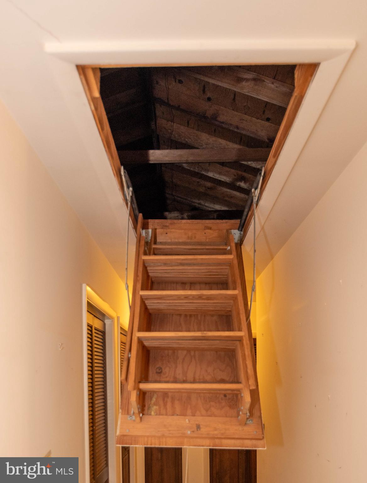 CAVES PARK - Residential