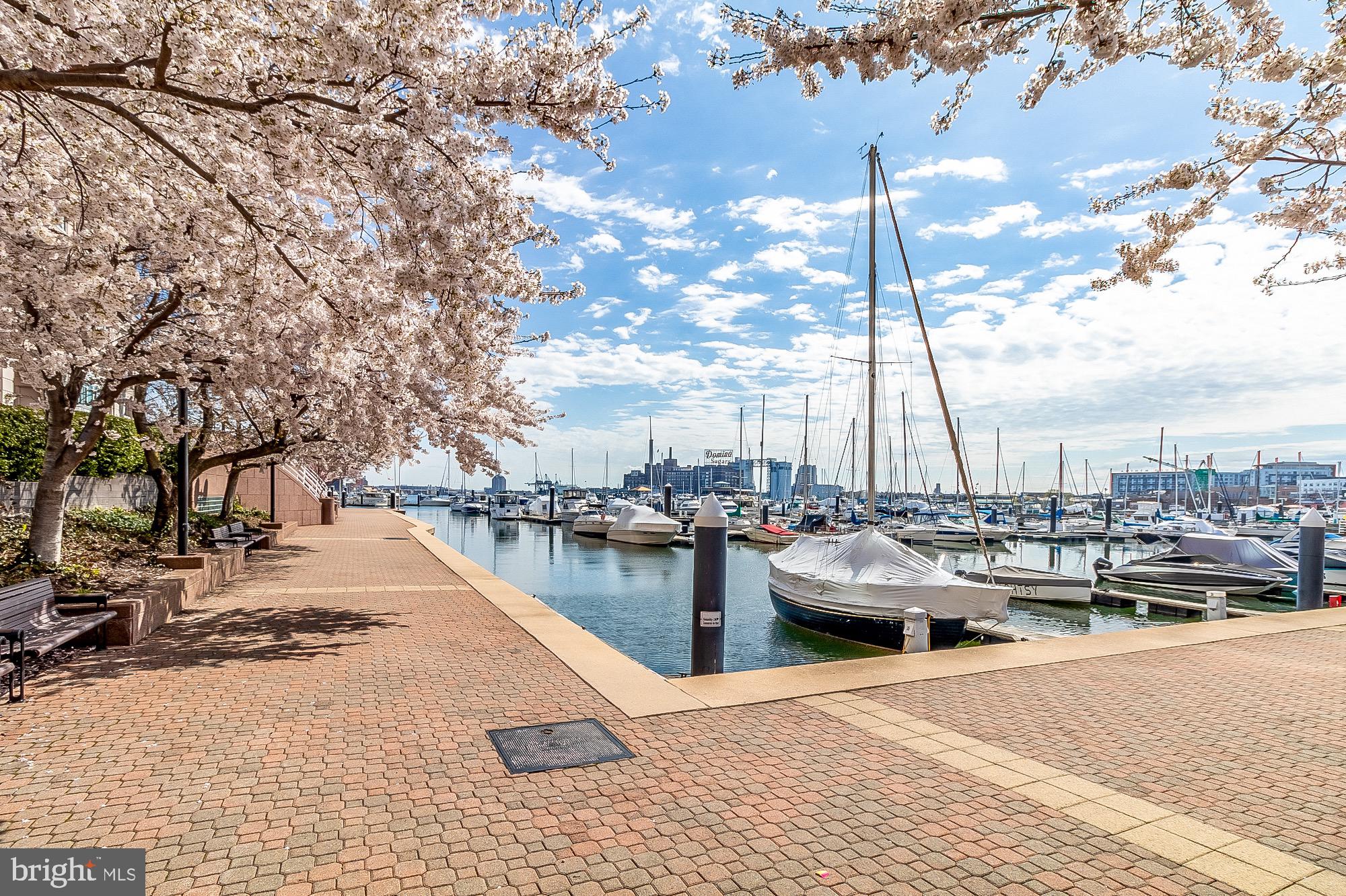 HARBORVIEW - Residential