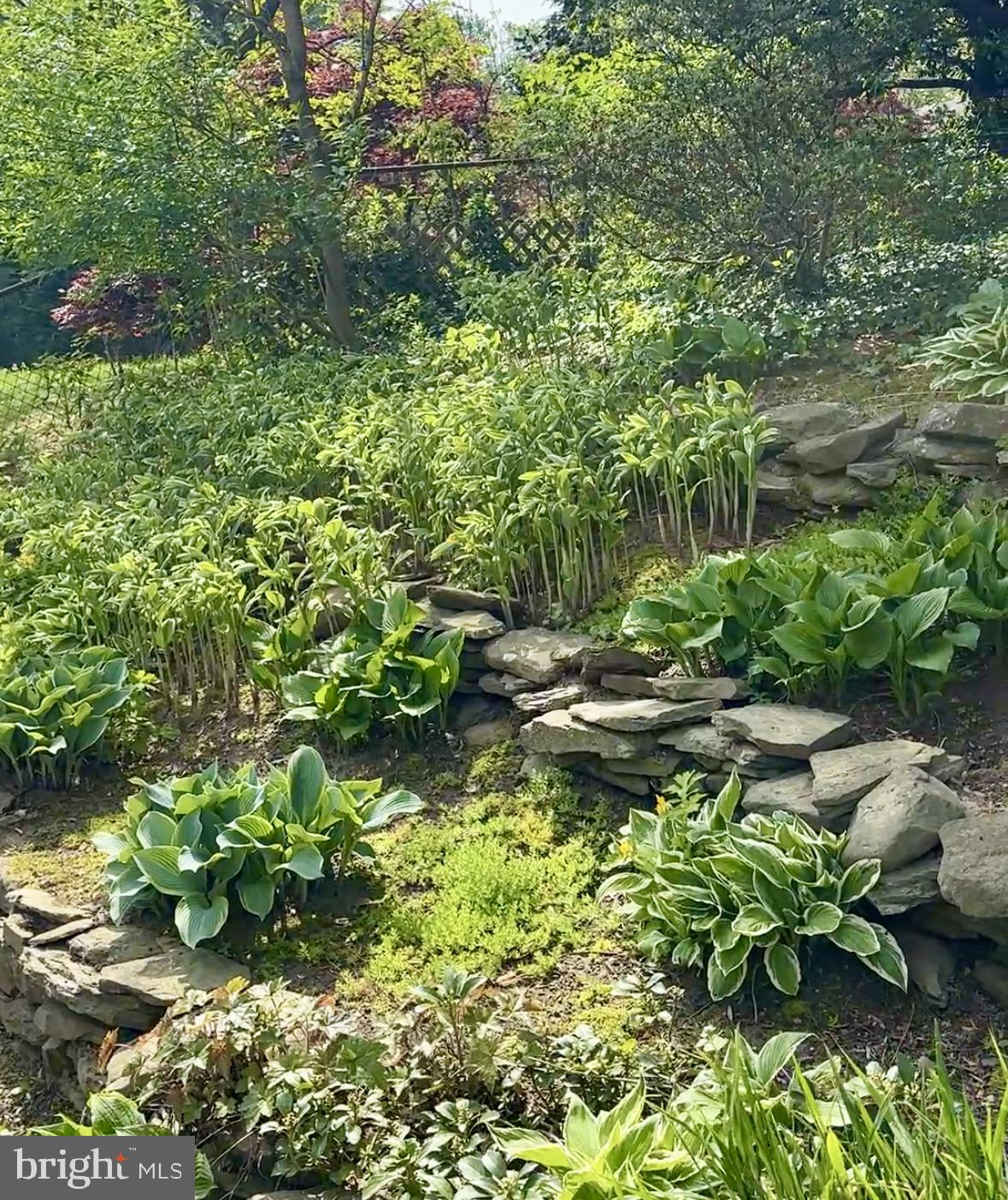 BROYHILL CREST - Residential