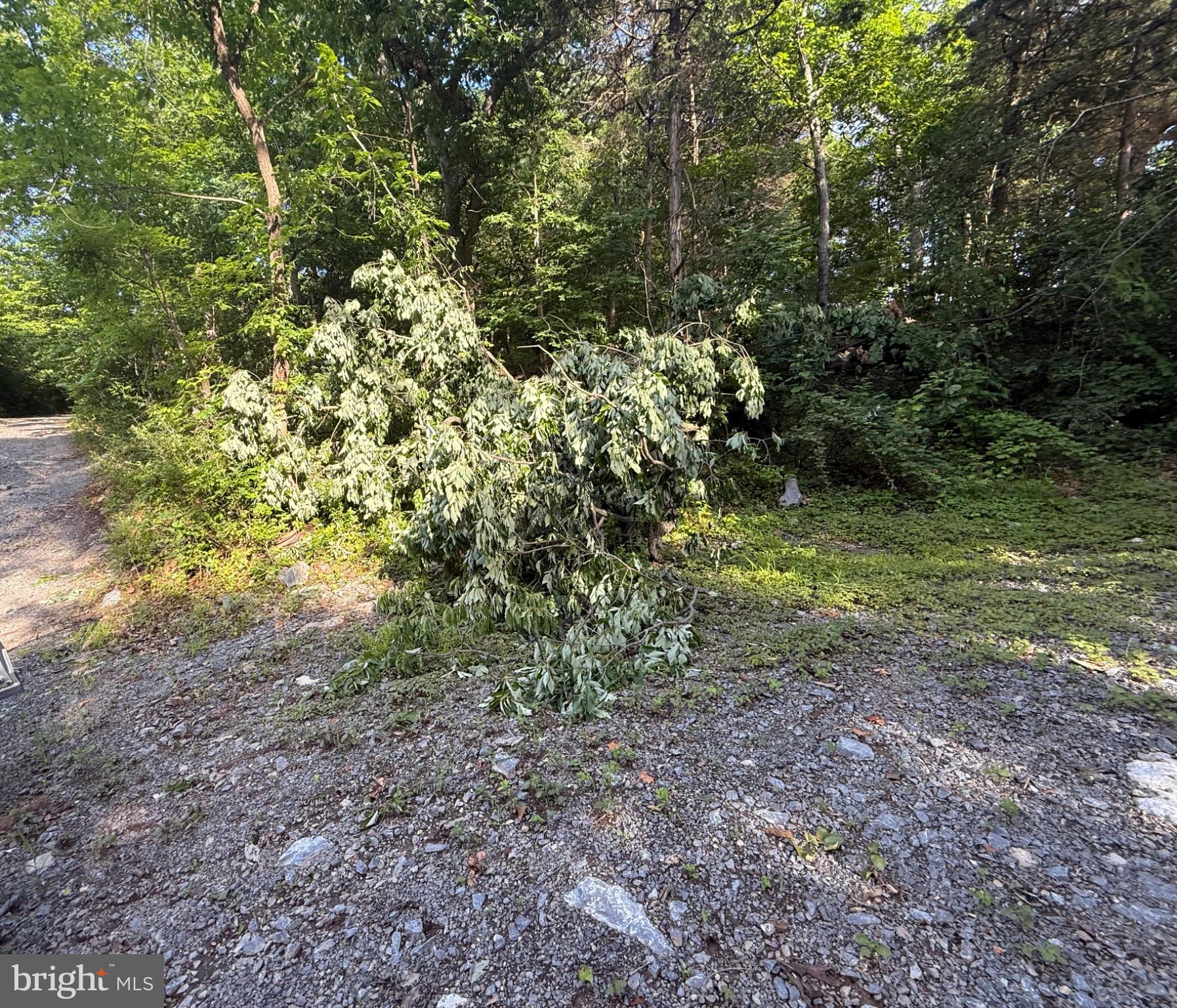Lot 19 RIVER BLUFF DR