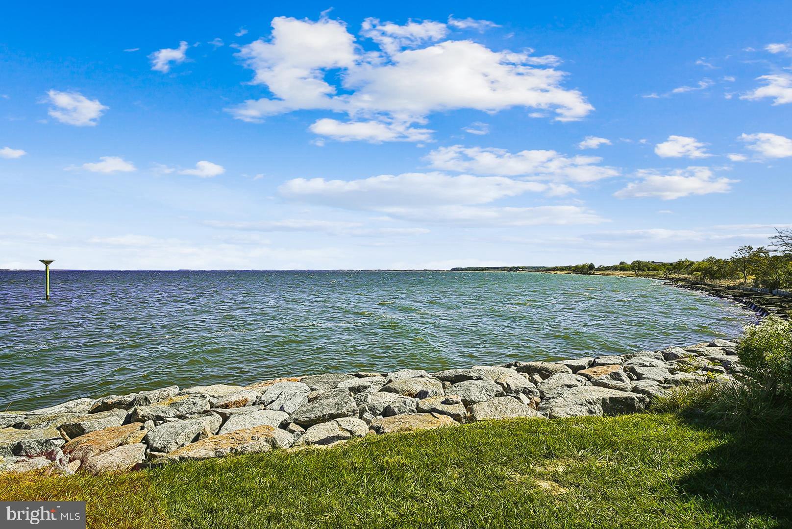 FOUR SEASONS AT KENT ISLAND - Residential