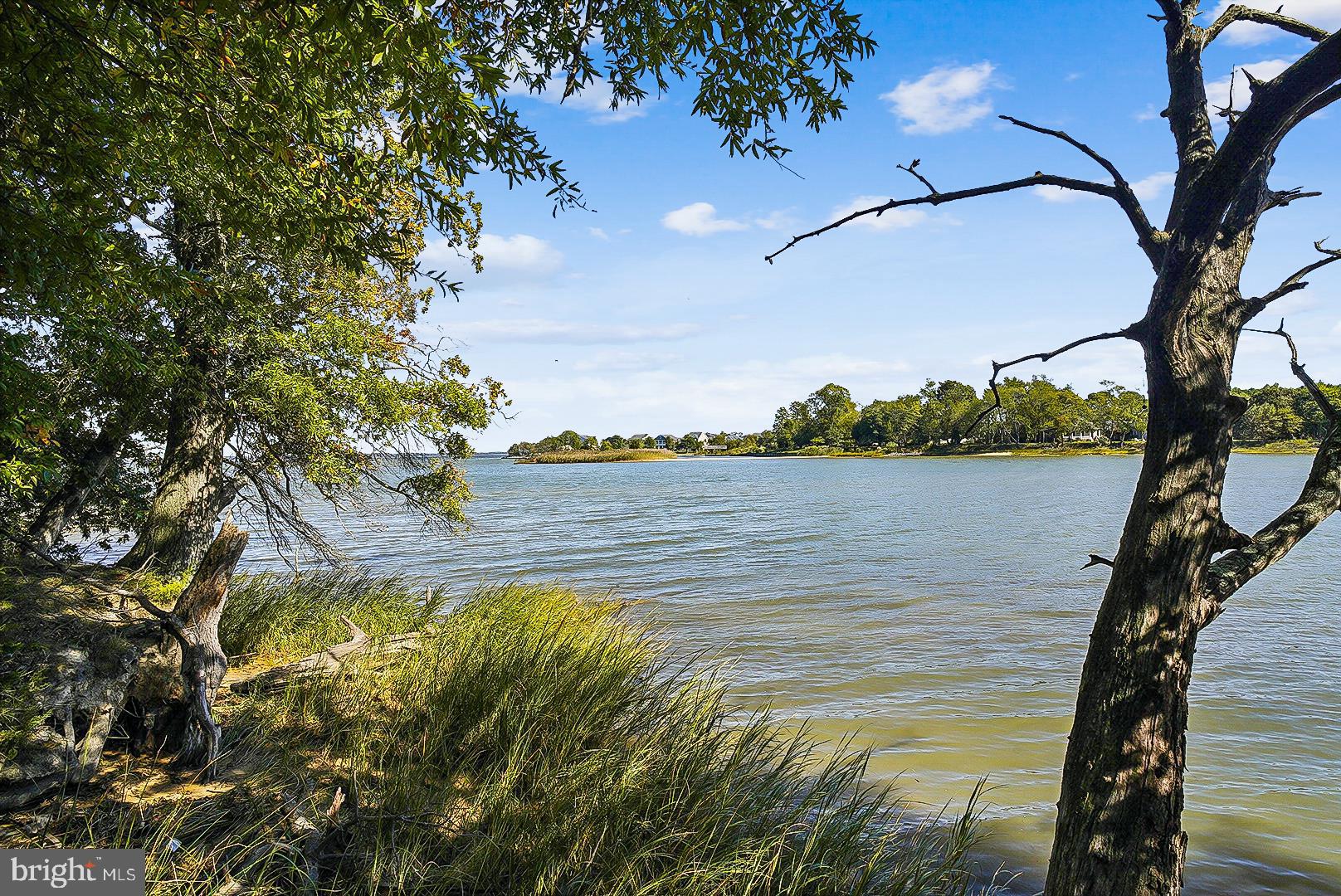 FOUR SEASONS AT KENT ISLAND - Residential