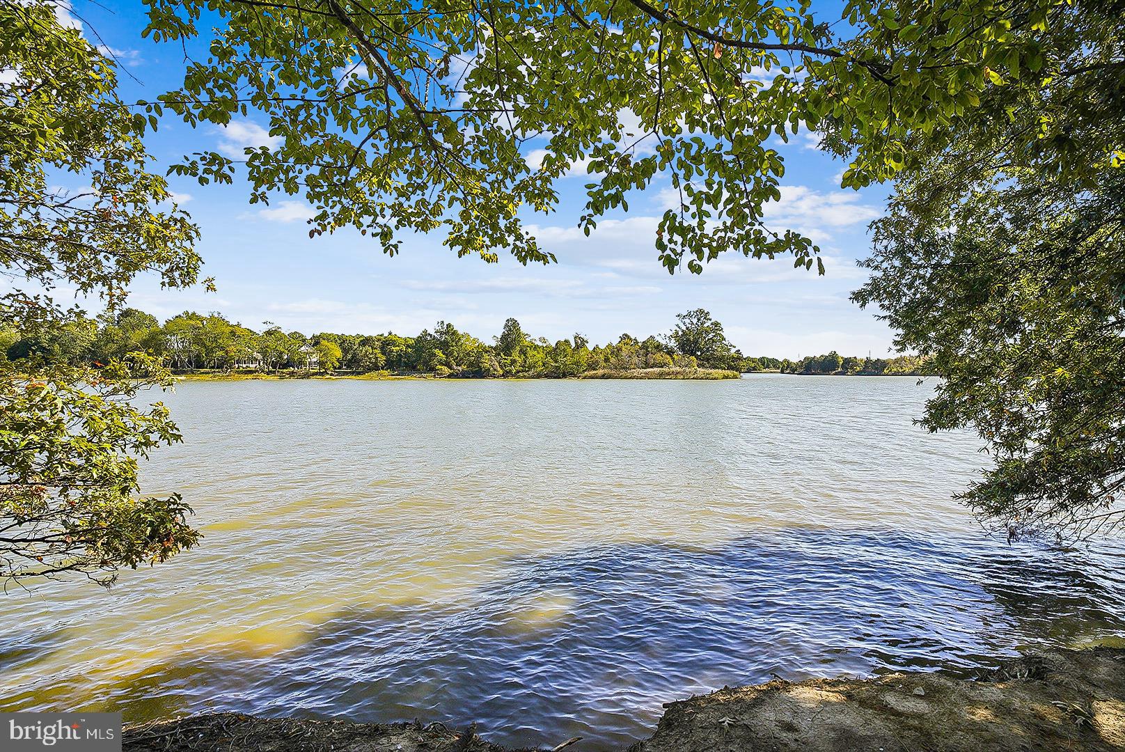 FOUR SEASONS AT KENT ISLAND - Residential
