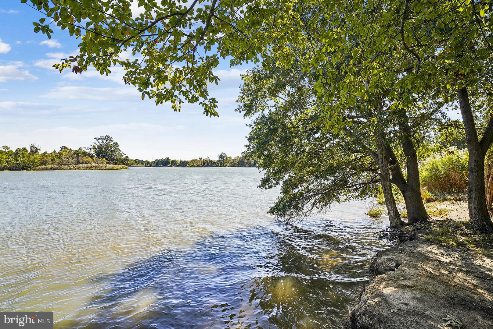 FOUR SEASONS AT KENT ISLAND - Residential