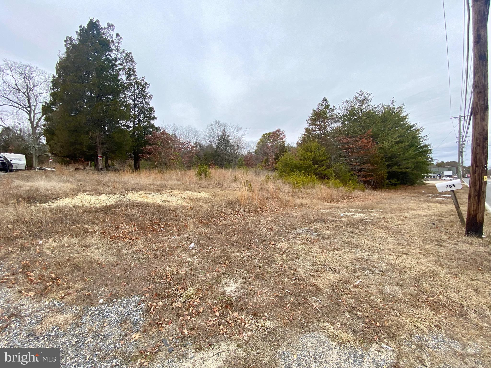 785 WHITE HORSE PIKE