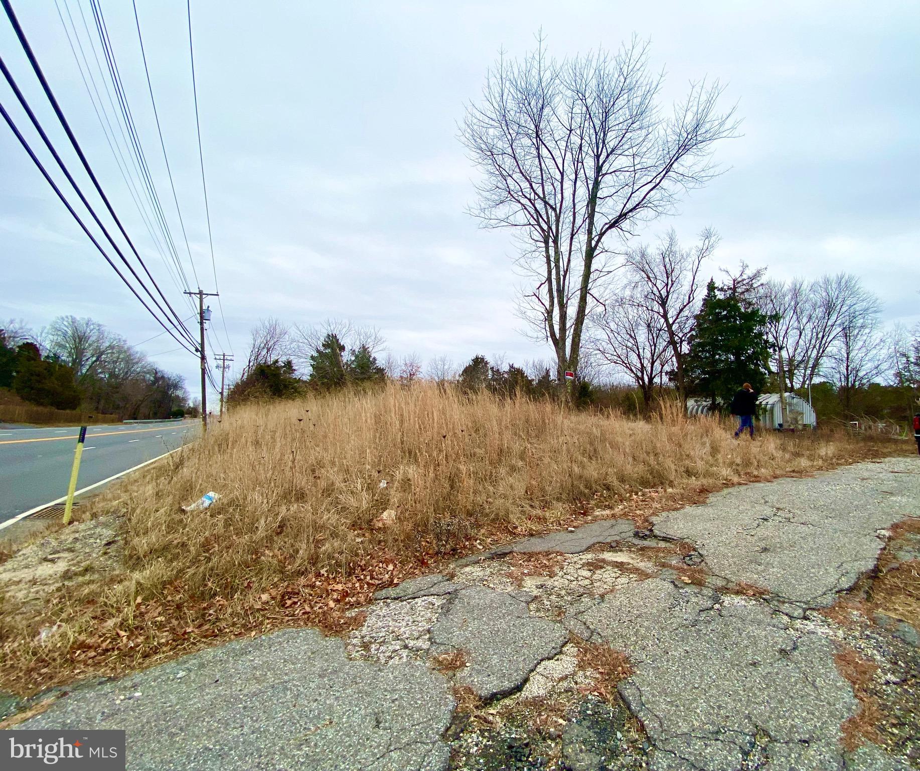 785 WHITE HORSE PIKE