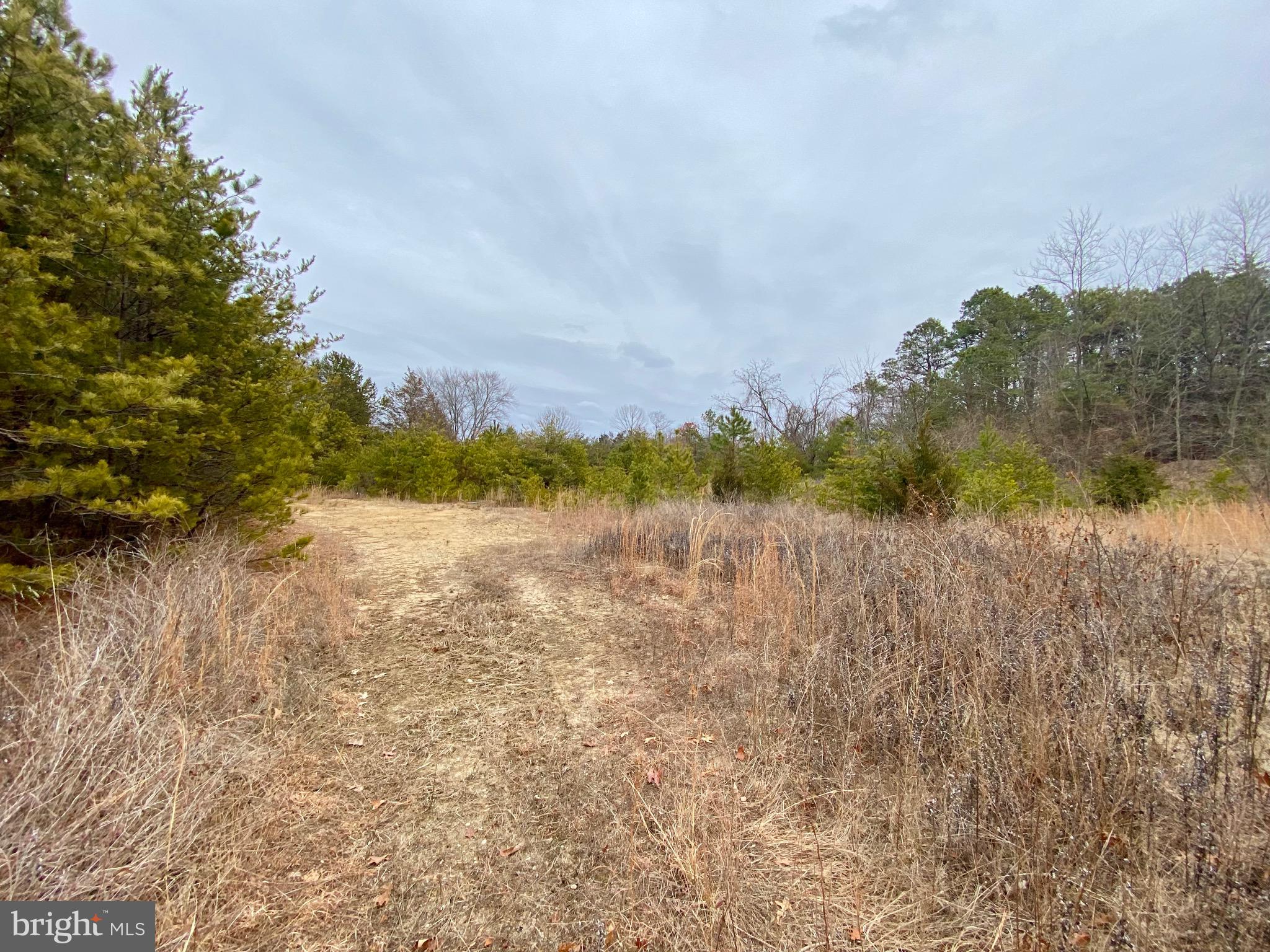 785 WHITE HORSE PIKE