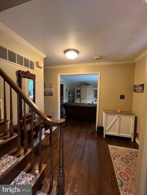 ORANGE HUNT ESTATES - Residential