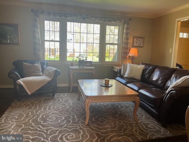 ORANGE HUNT ESTATES - Residential