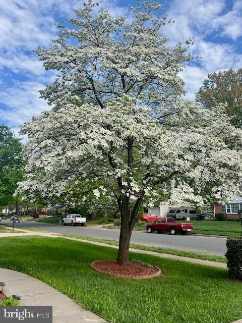 9113 DONNA DEAN DRIVE