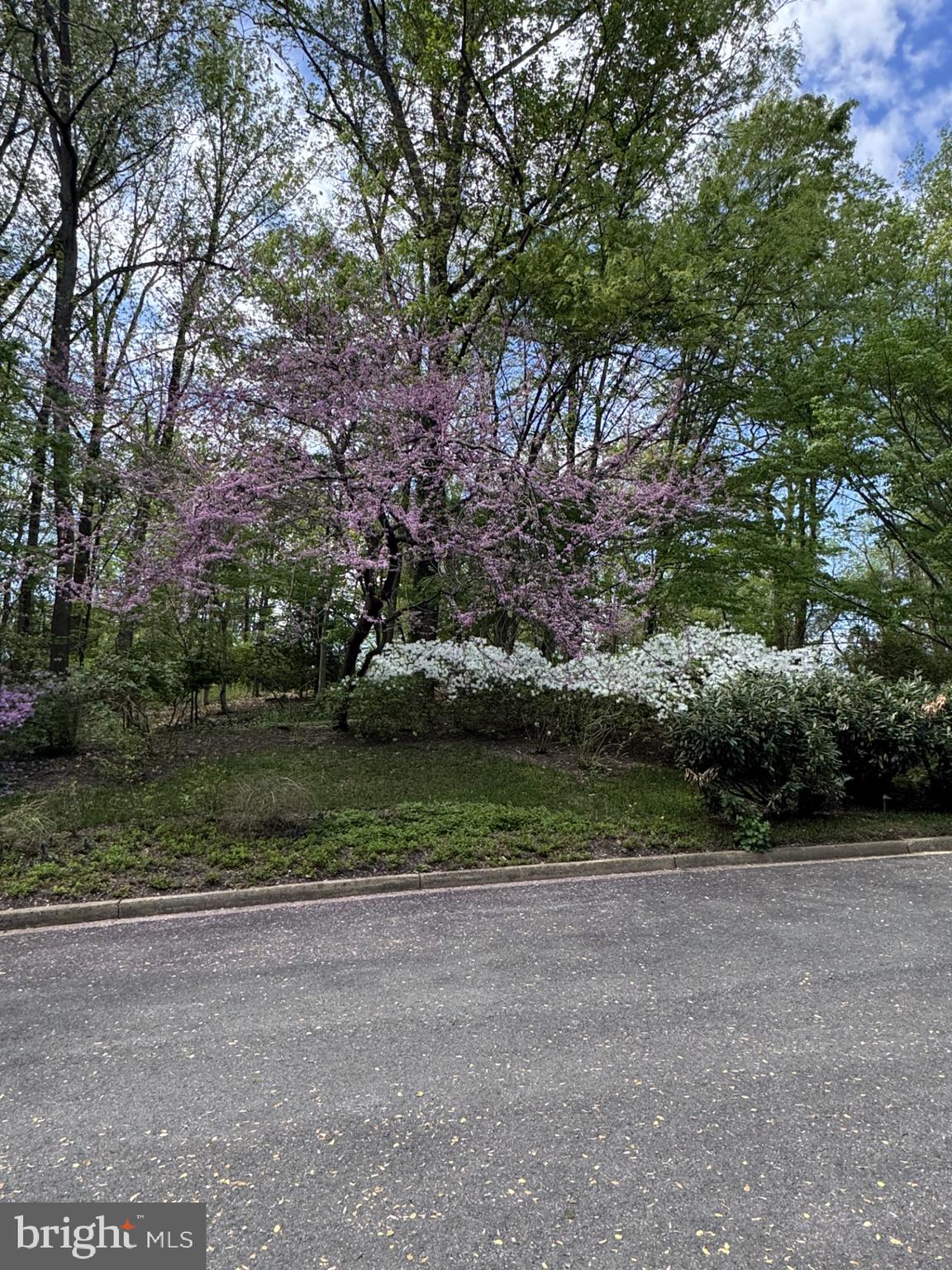 MERRYWOOD ON THE POTOMAC - Residential