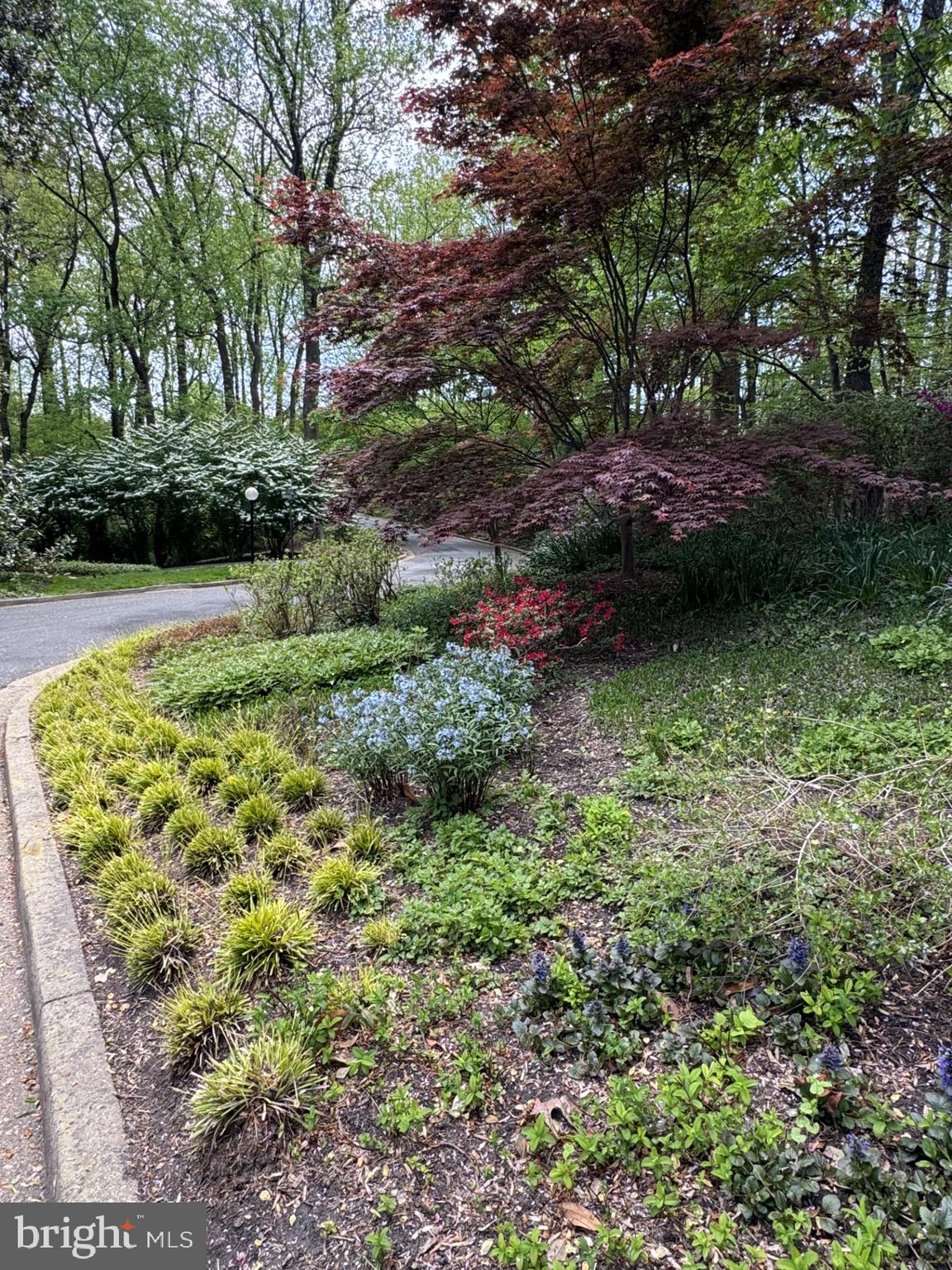 MERRYWOOD ON THE POTOMAC - Residential