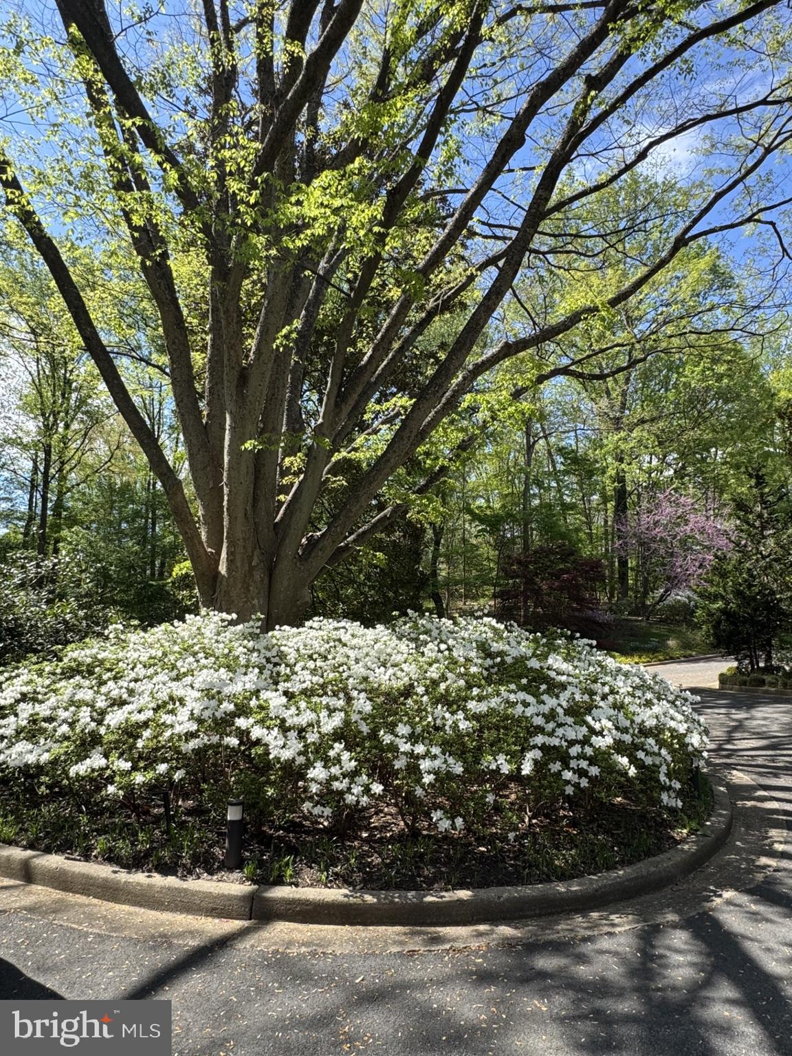 MERRYWOOD ON THE POTOMAC - Residential