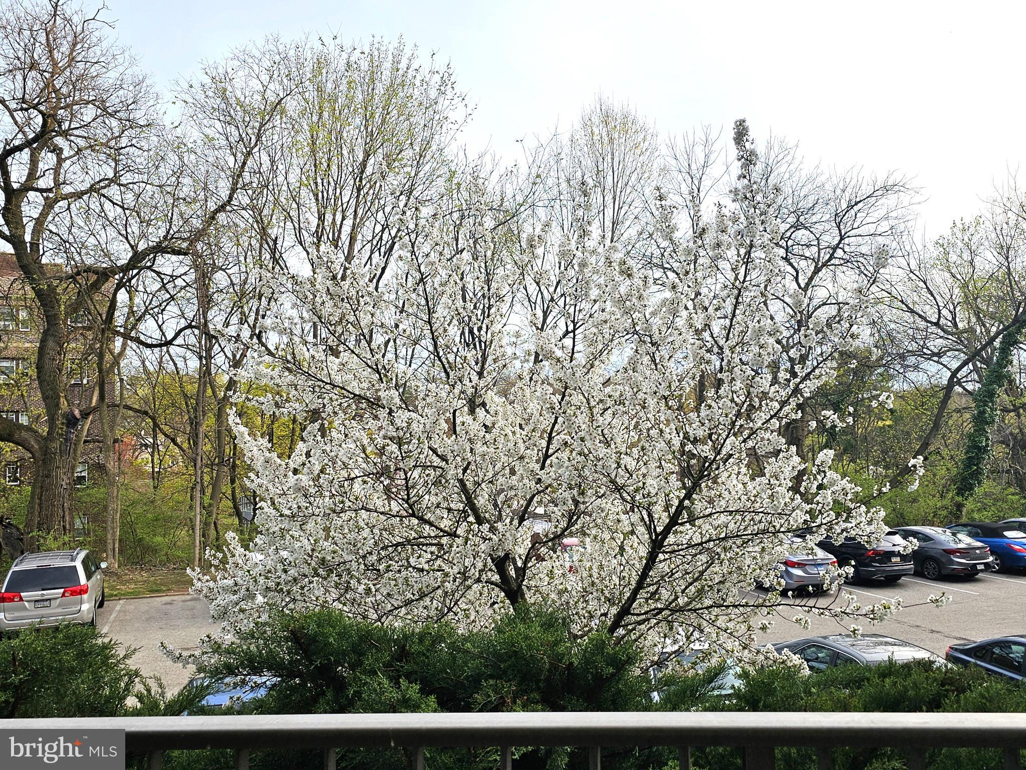 BEAVER HILL - Residential