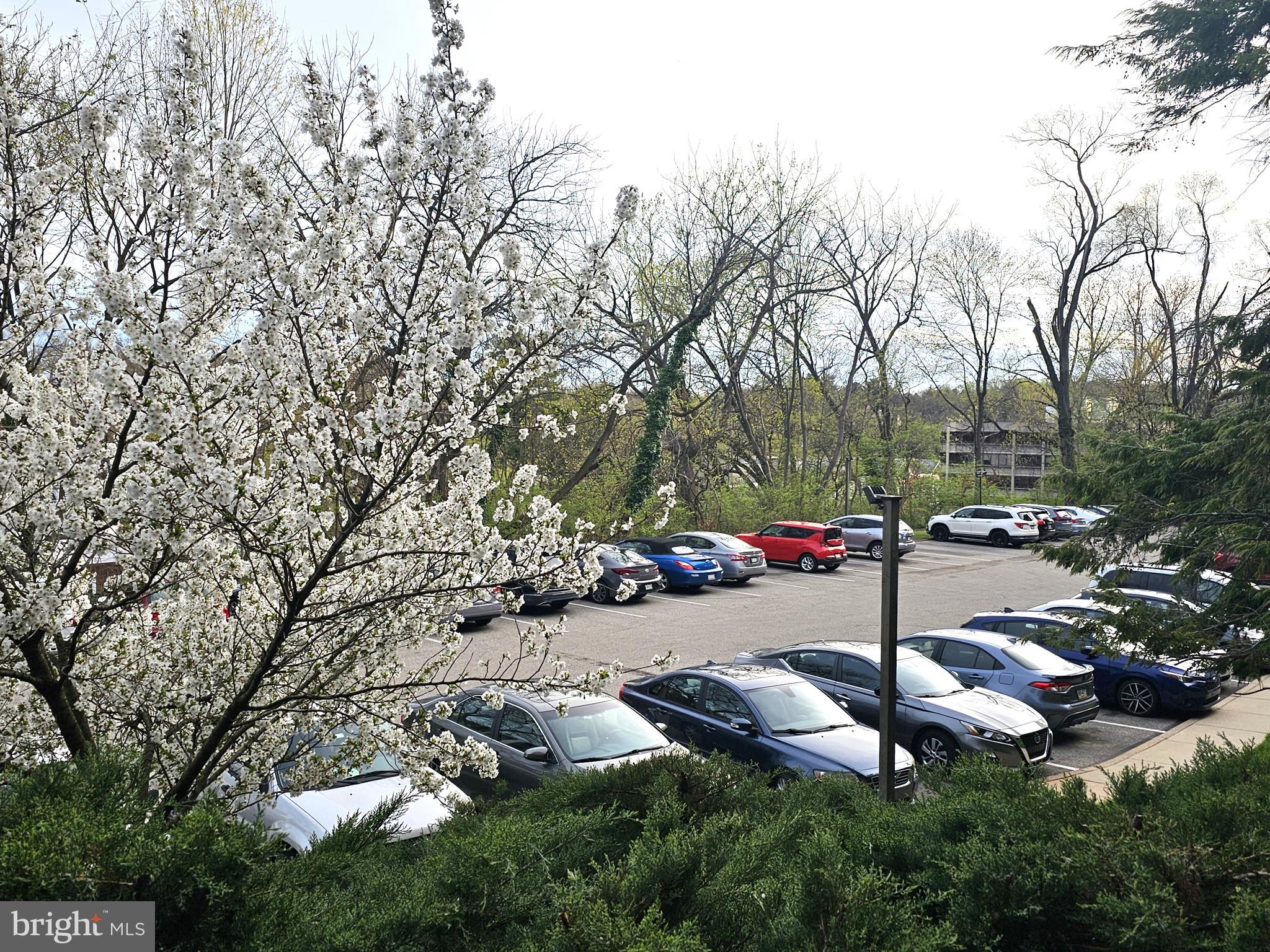 BEAVER HILL - Residential