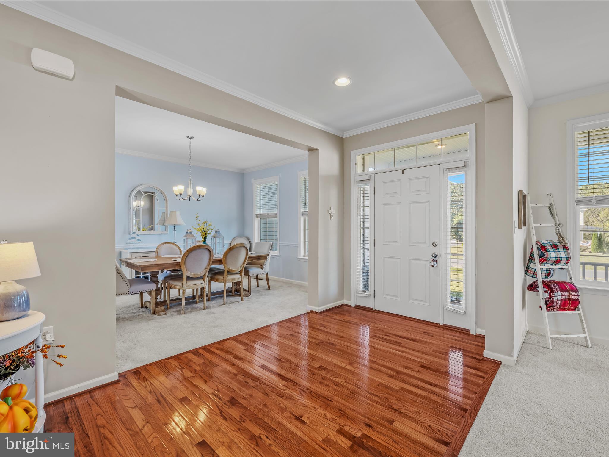 RIDGES OF TUSCARORA - Residential