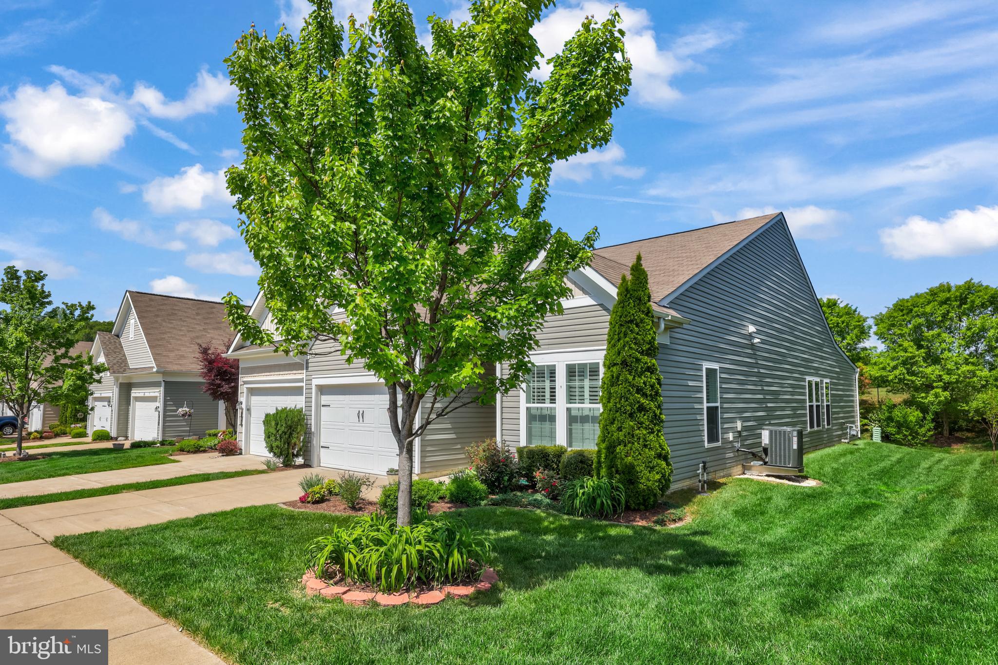 CELEBRATE VIRGINIA NORTH - Residential