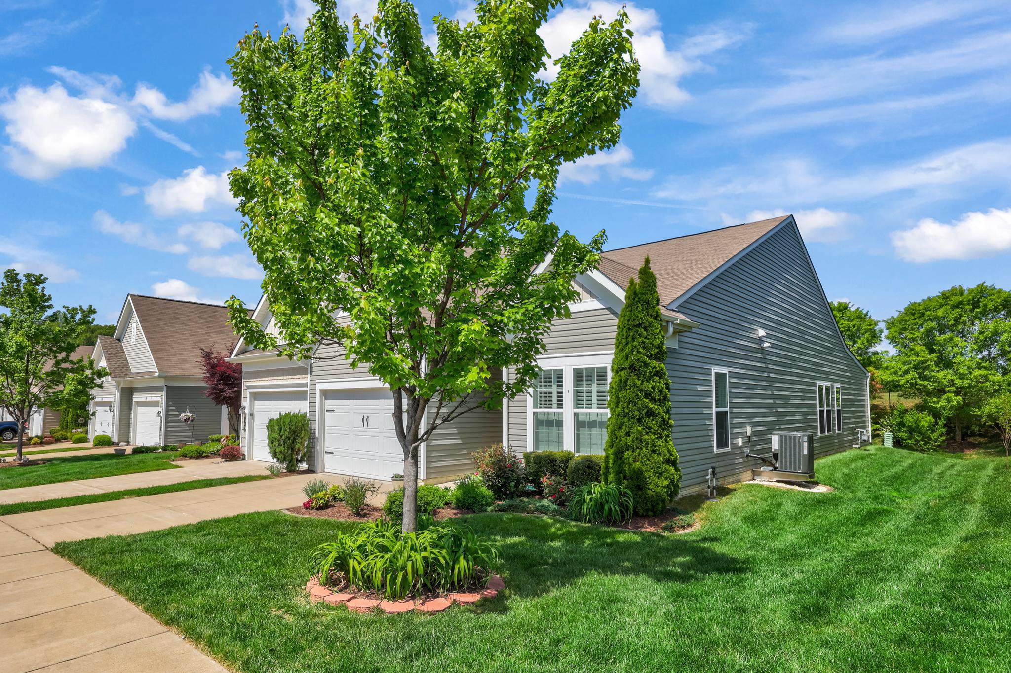 CELEBRATE VIRGINIA NORTH - Residential