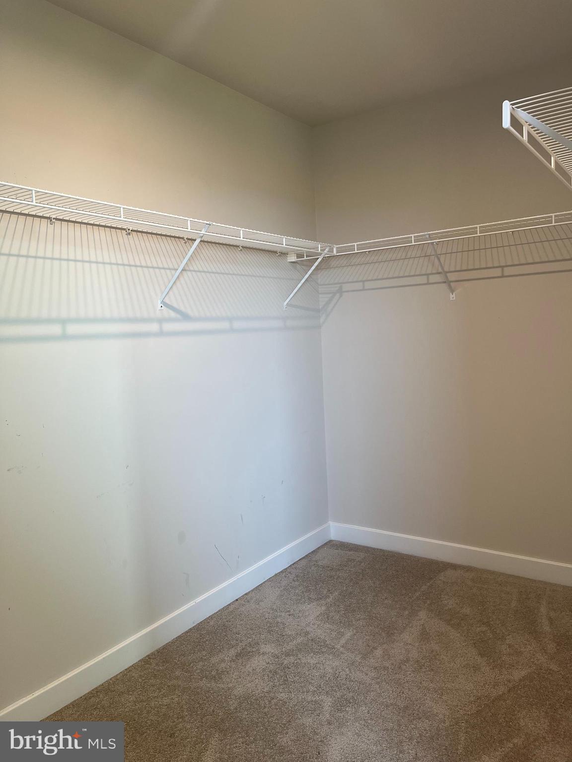 CARDINAL POINTE - Residential Lease