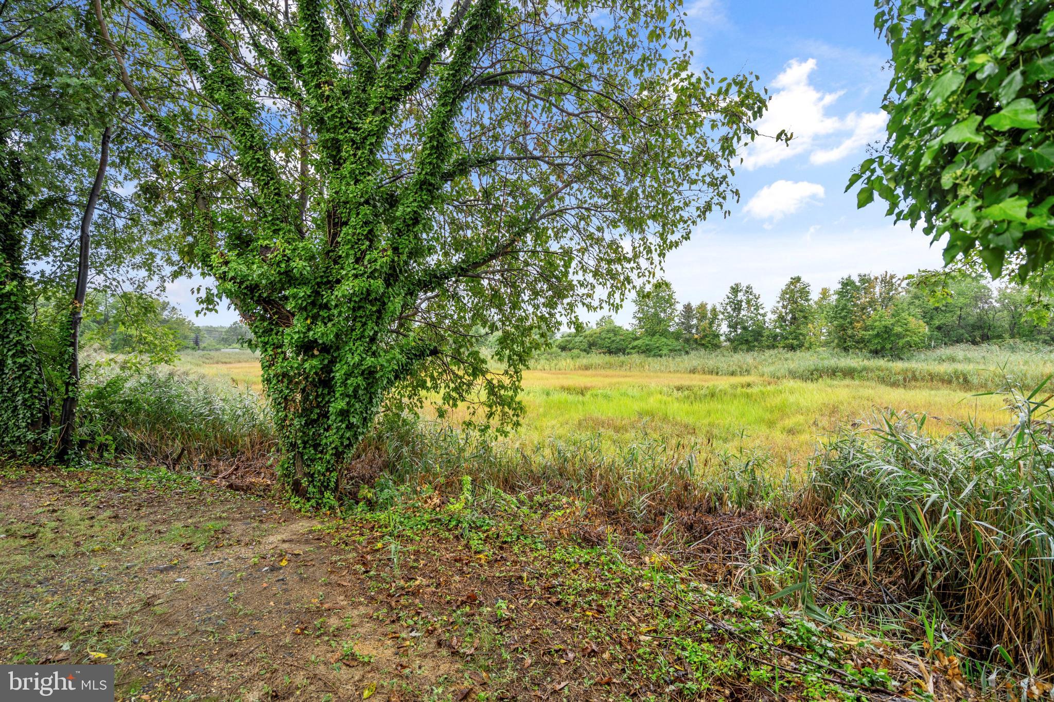 32 BAYSHORE MOBILE MNR