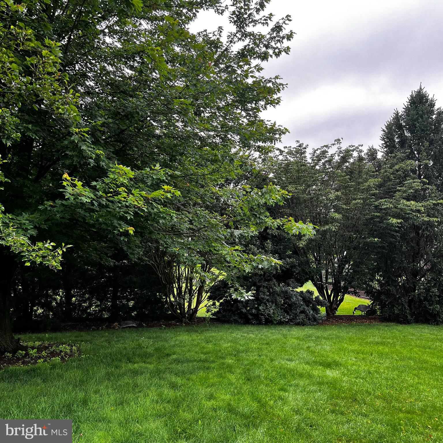 345 DEW DROP ROAD