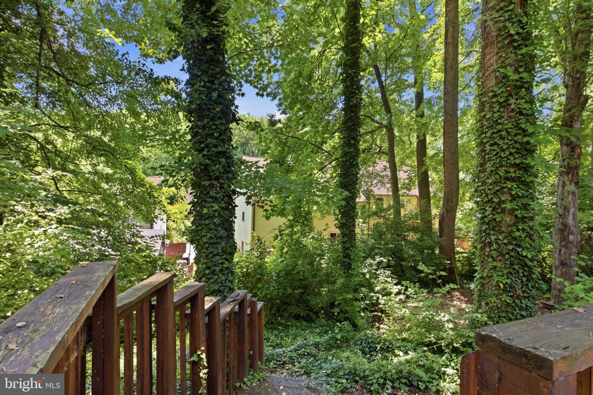 TREE TOP - Residential