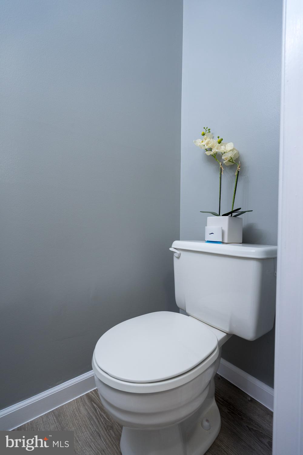 TOWNS OF FOREST HILLS - Residential