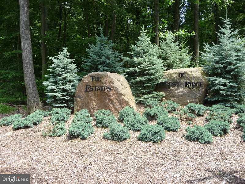 ESTATES OF FOREST RIDGE - Residential
