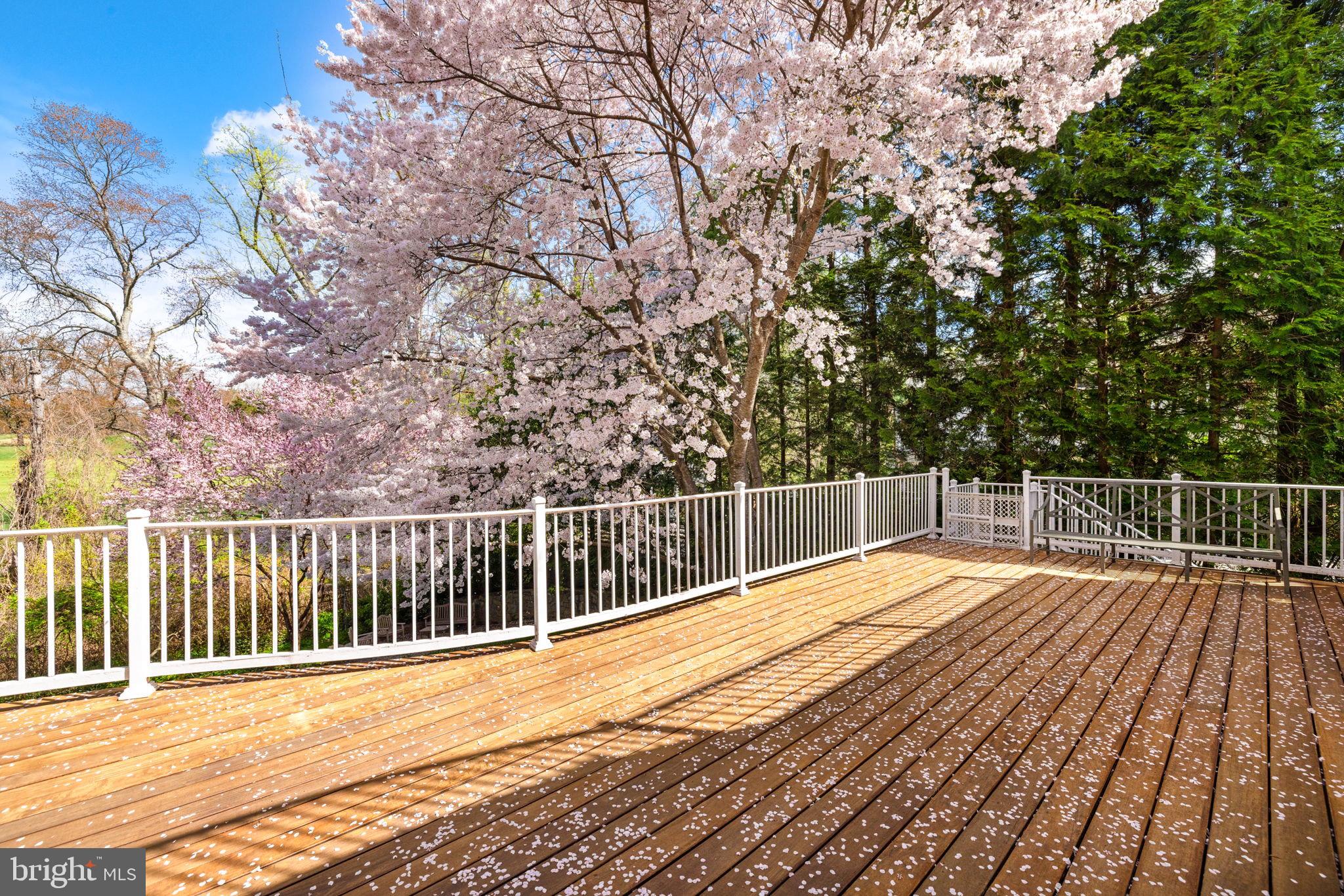 CHEVY CHASE VILLAGE - Residential