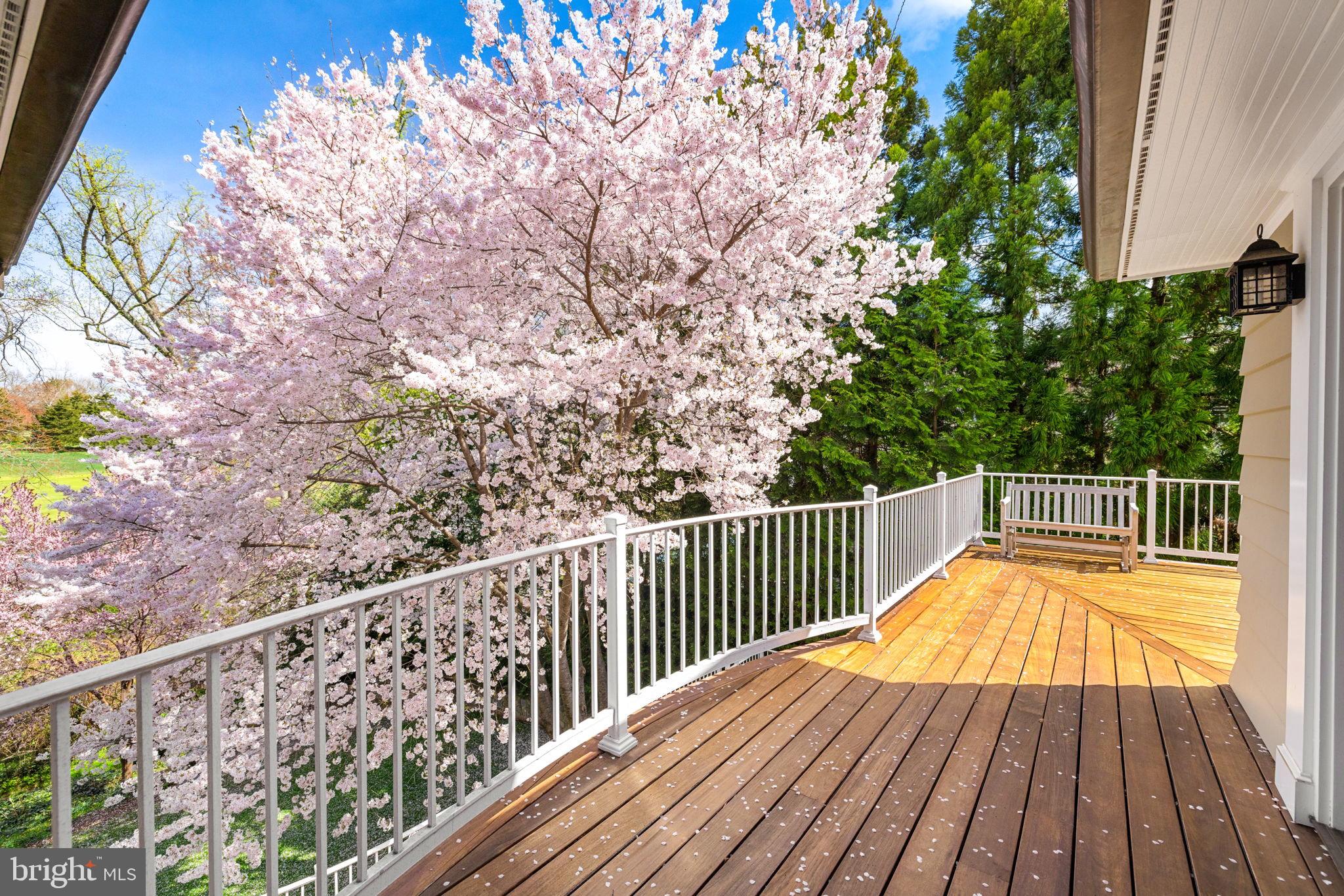 CHEVY CHASE VILLAGE - Residential