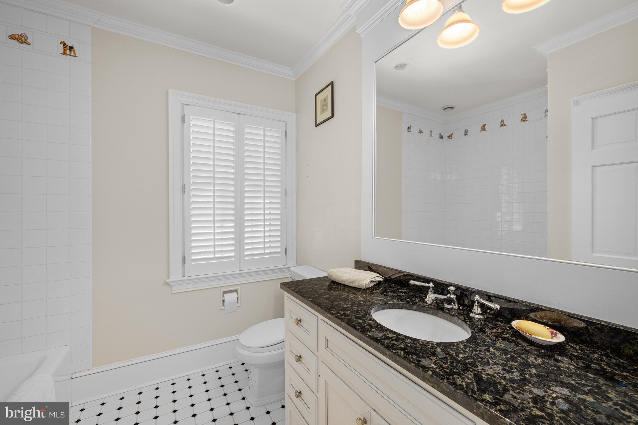 CHEVY CHASE VILLAGE - Residential