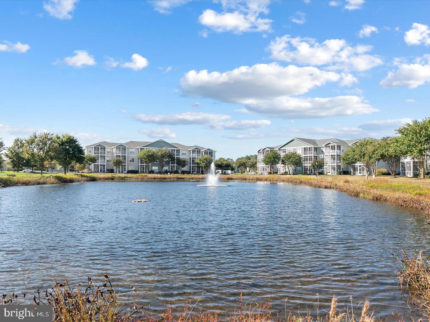 33156 N VILLAGE LOOP 4205
