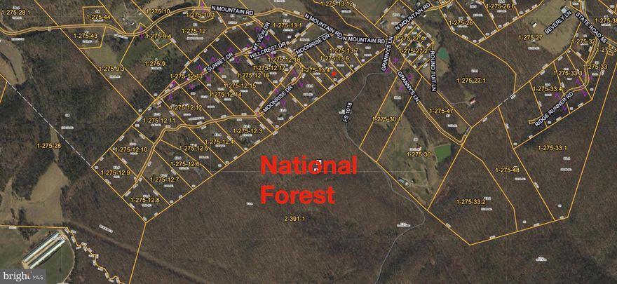 Calling all hikers, horseback riders, hunters, and outdoor enthusiasts! This is the property you’ve been waiting for. Imagine building your dream home and stepping out your back door to find yourself just steps away from the George Washington National Forest, with thousands of acres at your disposal.

What makes this property even better? All state-maintained paved roads lead you to a short drive on Moonrise Drive. Start saving right away with a 140 ft deep well installed by B.W. Smith Well Drilling in 2003. The property already features a driveway that extends to the back, and a 4-board wood fence surrounds the entire perimeter, though some areas may need maintenance. Additionally, a 5-mile forest service road behind the property is perfect for long horse rides and hikes.

Other highlights include a 3-bedroom perc test and great cell phone service. The only things left are house plans, a builder, and you!

Don't miss your chance to escape the city while still being only 40 minutes from commuter routes, major restaurants, and shopping centers. This is your opportunity to own a piece of paradise in Wardensville, WV.