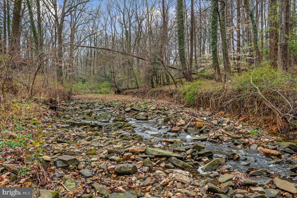 CHAIN BRIDGE FOREST - Residential