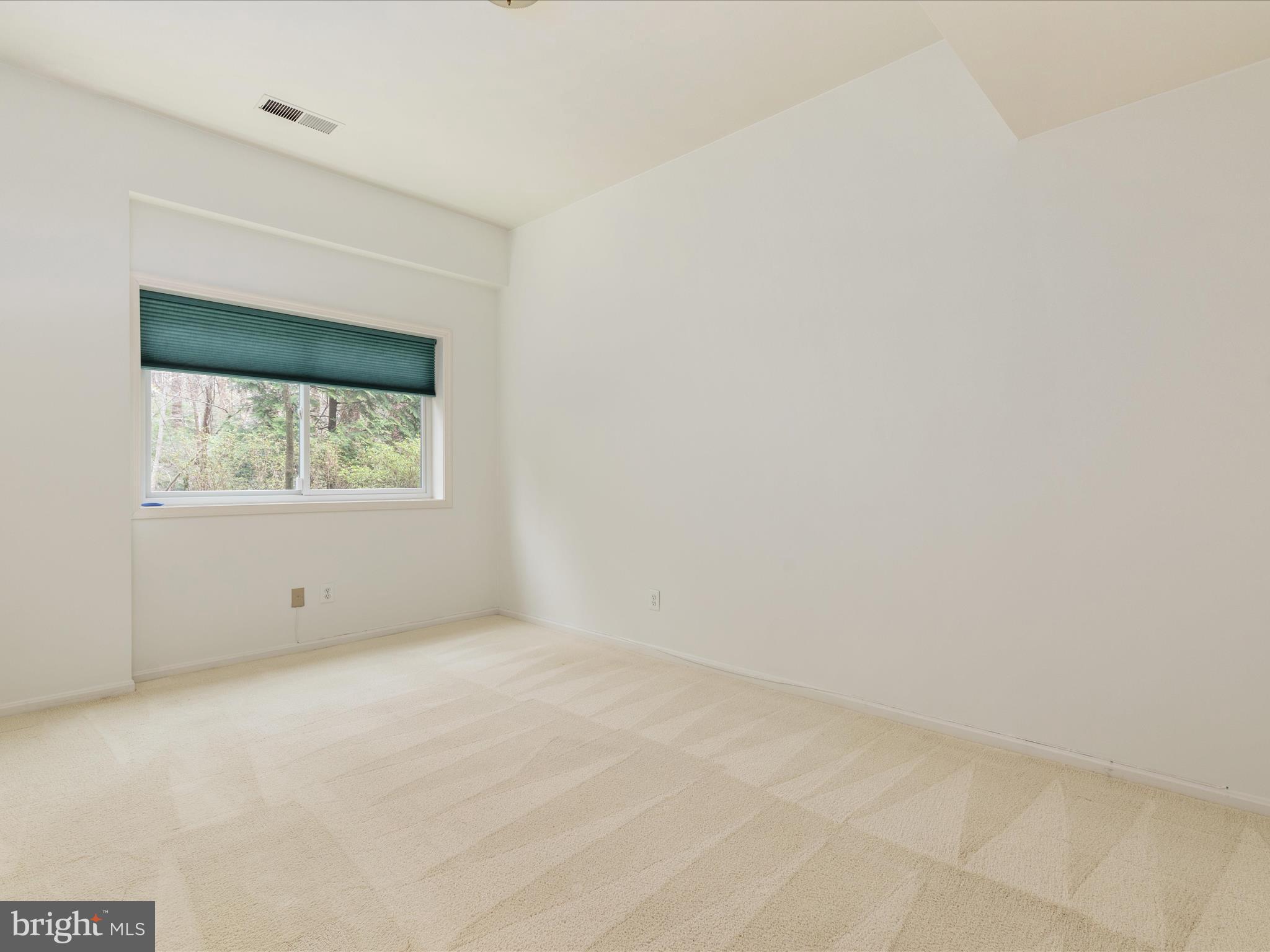 CHAIN BRIDGE FOREST - Residential