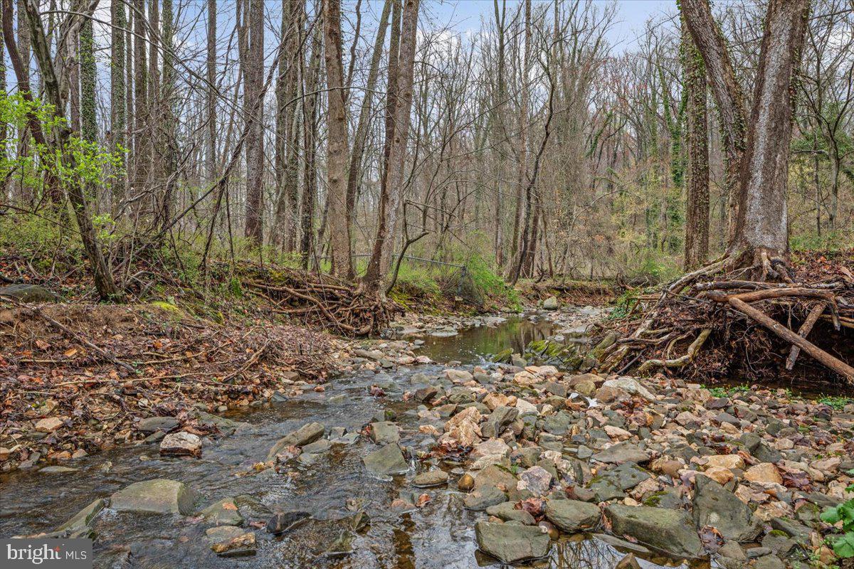 CHAIN BRIDGE FOREST - Residential