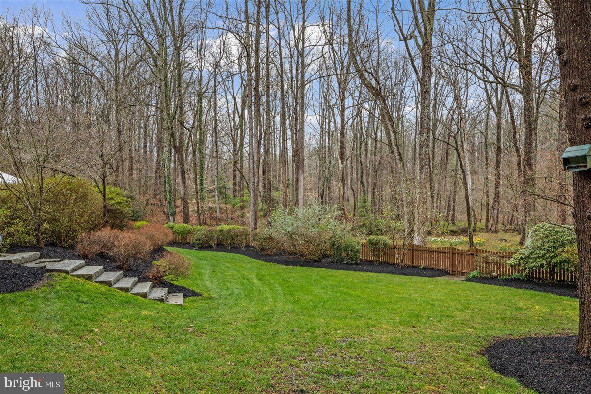 CHAIN BRIDGE FOREST - Residential