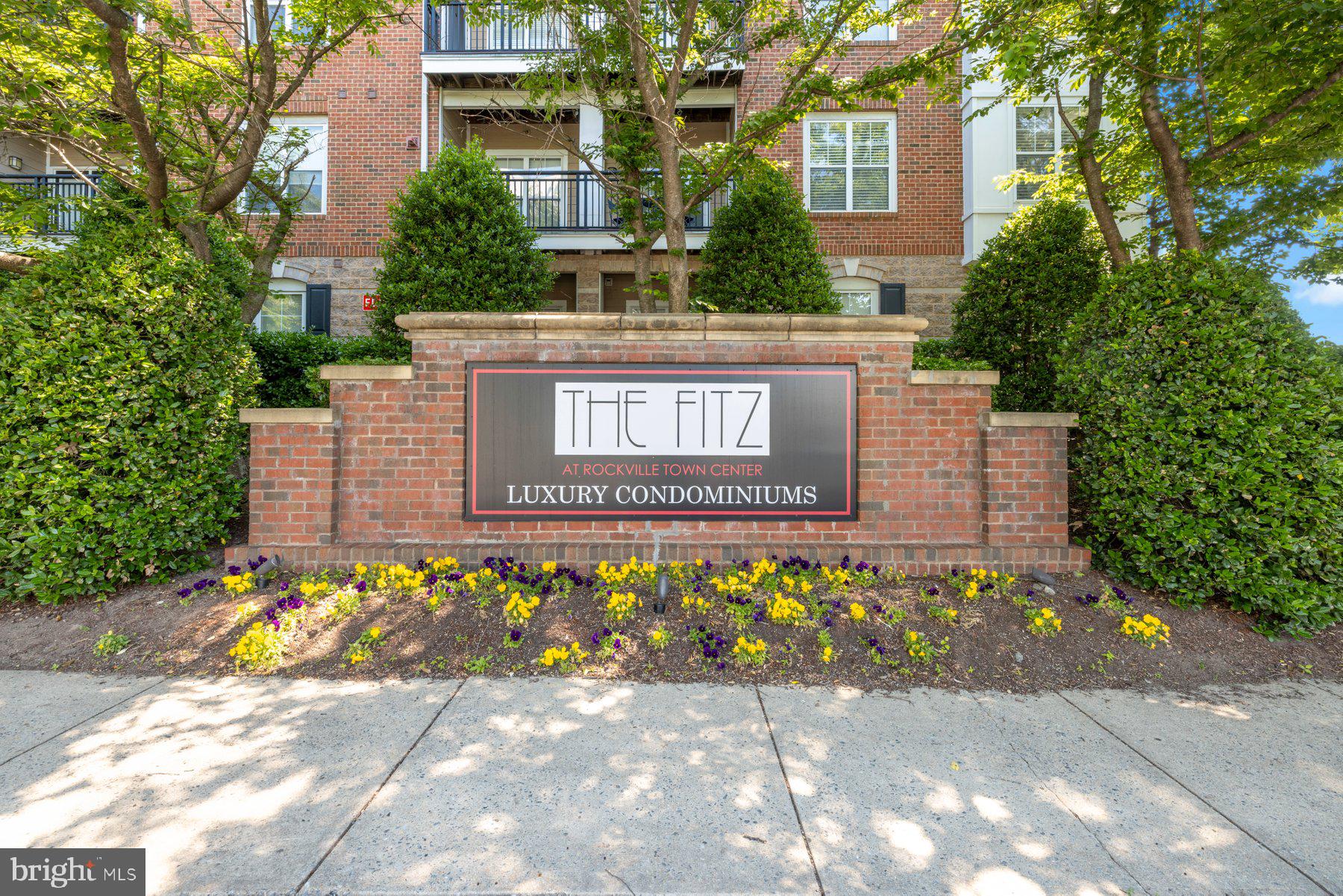 FITZ AT ROCKVILLE TOWN C - Residential