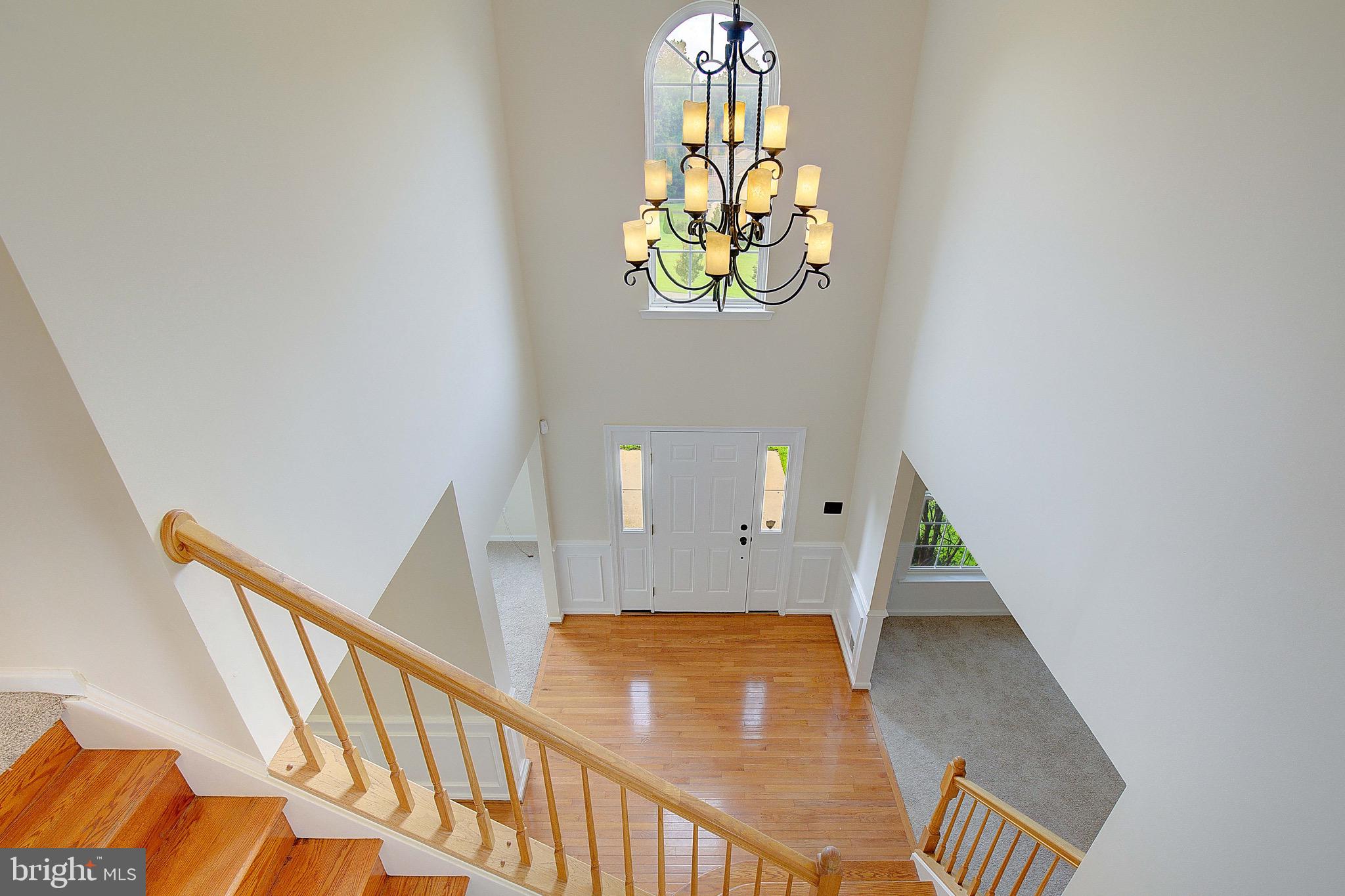 LORINS PRIDE - Residential