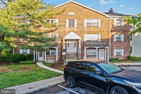 4413 ROMLON STREET 301 BELTSVILLE MD 20705