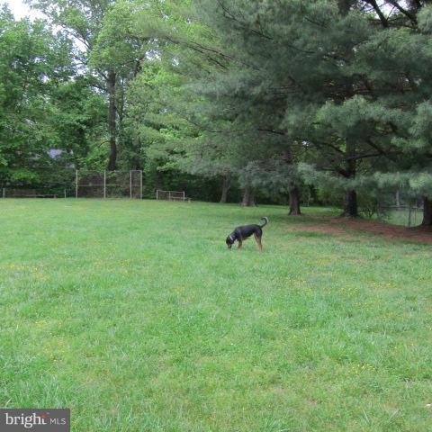PINES ON THE SEVERN - Residential