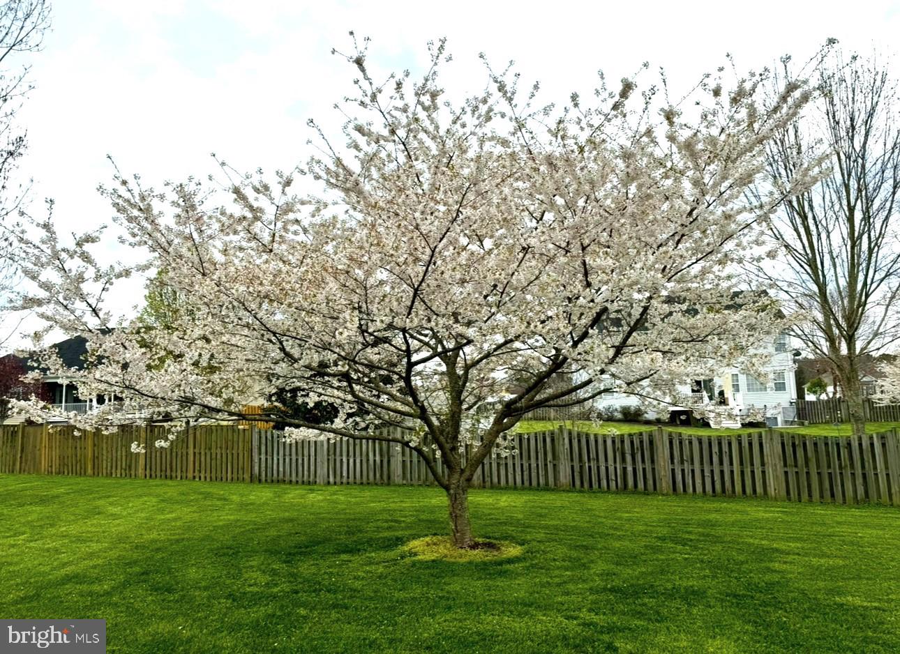 LEONARDTOWN FARMS - Residential