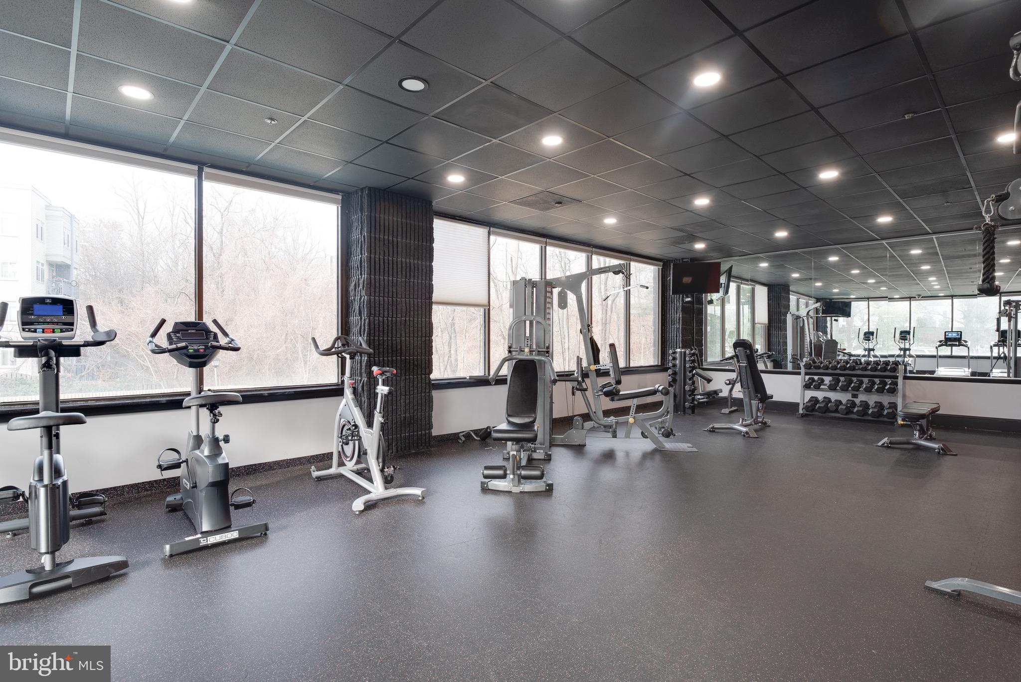 OLYMPUS AT LANDMARK - Residential