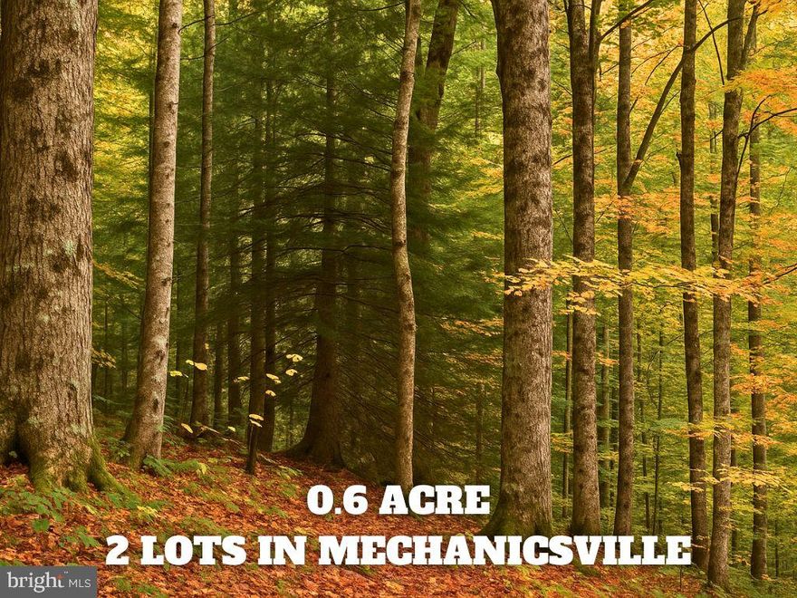 2 Lots located in Mechanicsville in Wicomico Shores. 35300 and 35296 Diplomat Drive. Both lots are 13, 050 sqft totaling over a half acre. Come check it out today!