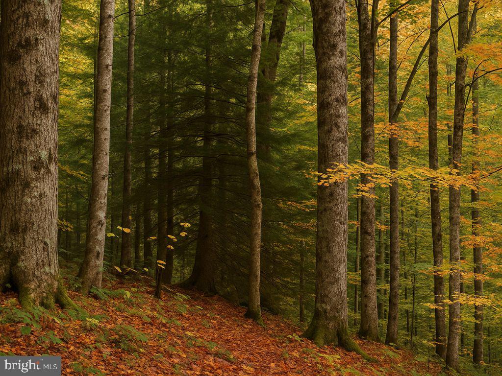 35300 DIPLOMAT DRIVE