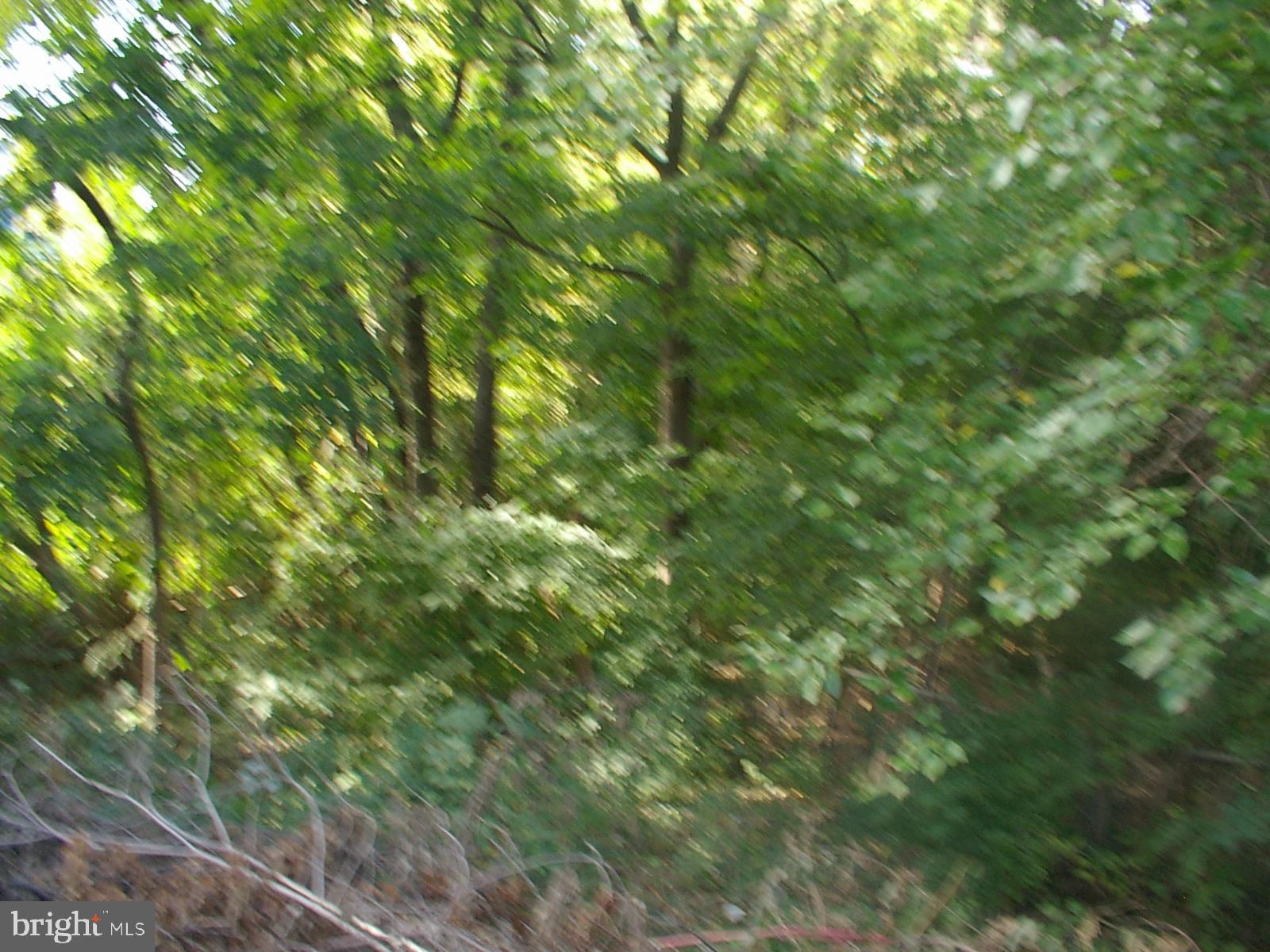 WINCHESTER CITY - Residential