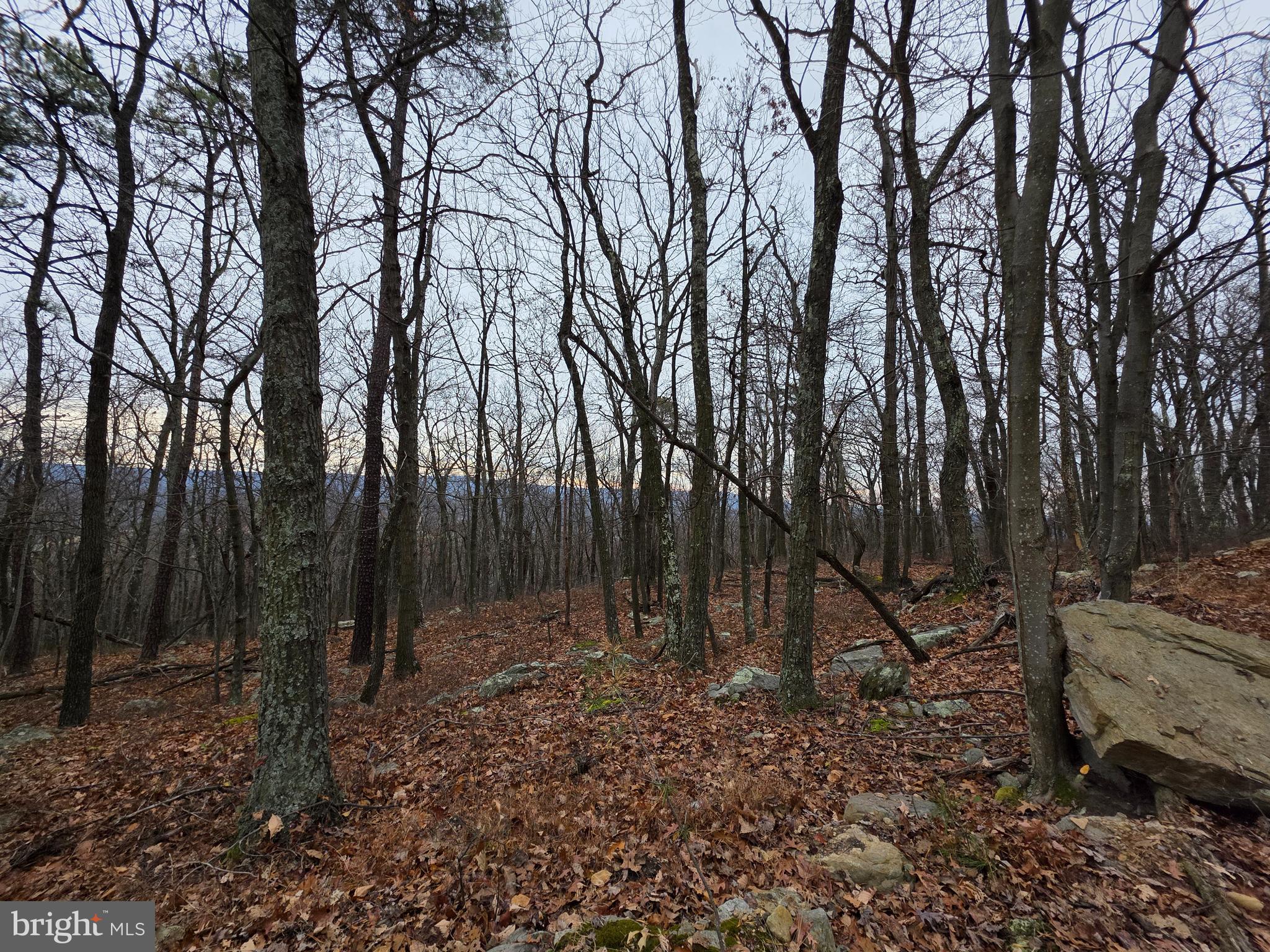 Lot 38 BREAKEVEN LANE SEC V,