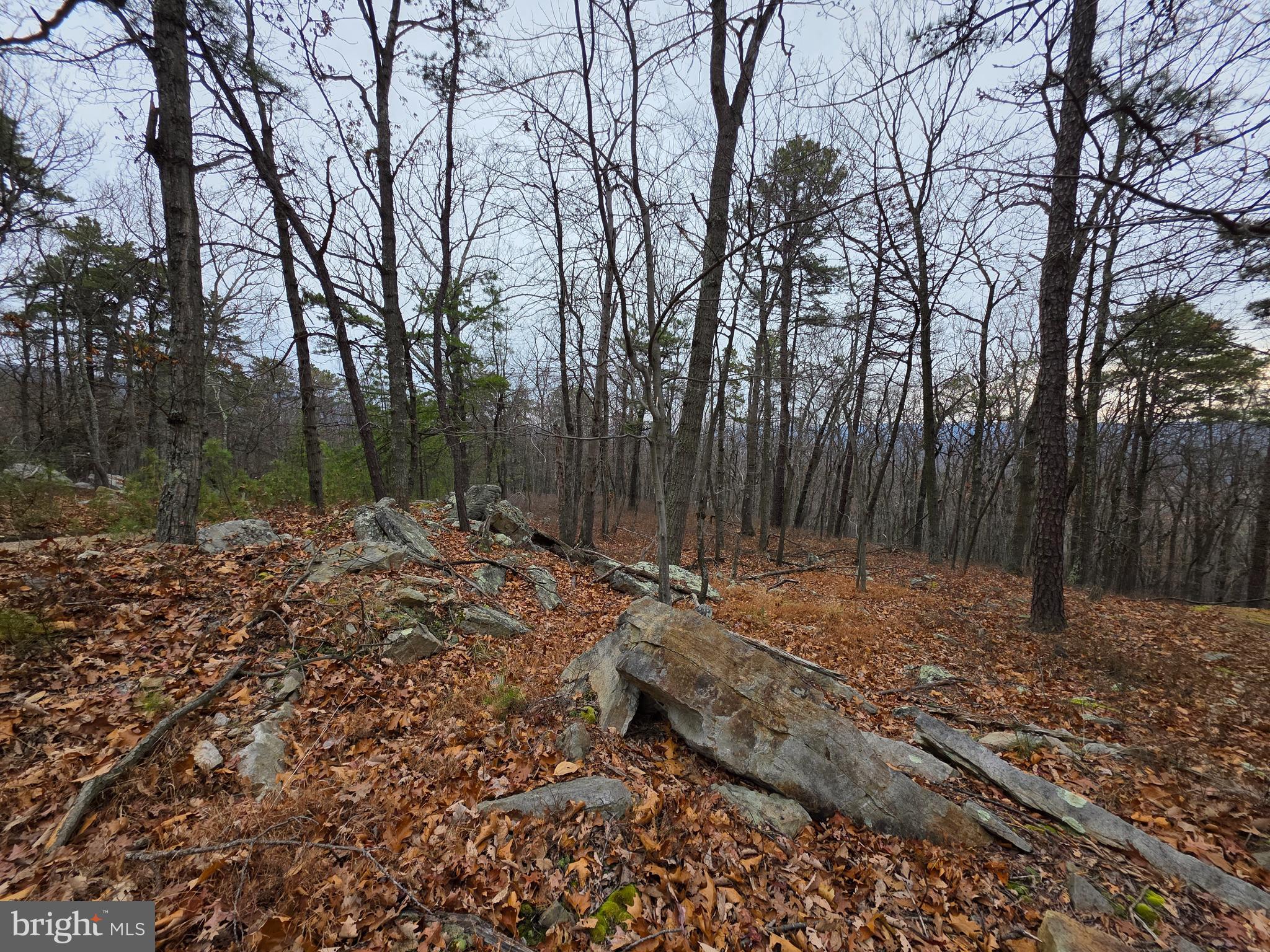 Lot 38 BREAKEVEN LANE SEC V,