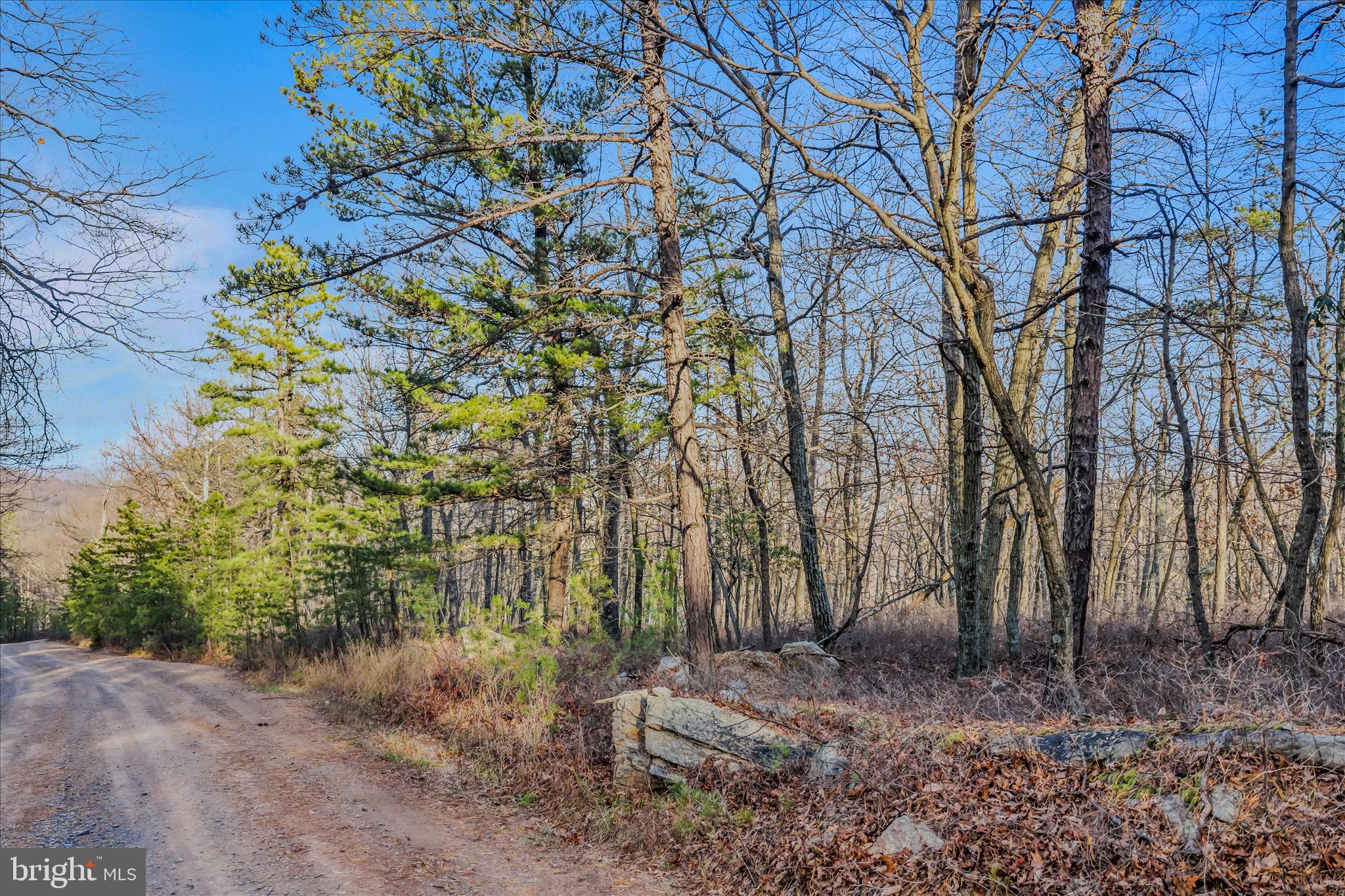 Lot 38 BREAKEVEN LANE SEC V,